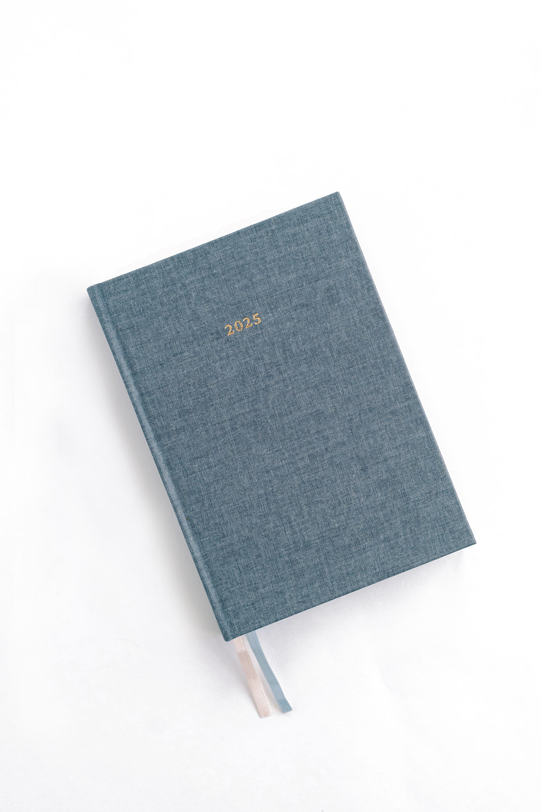 2025 Abide Christian Planner - Blue